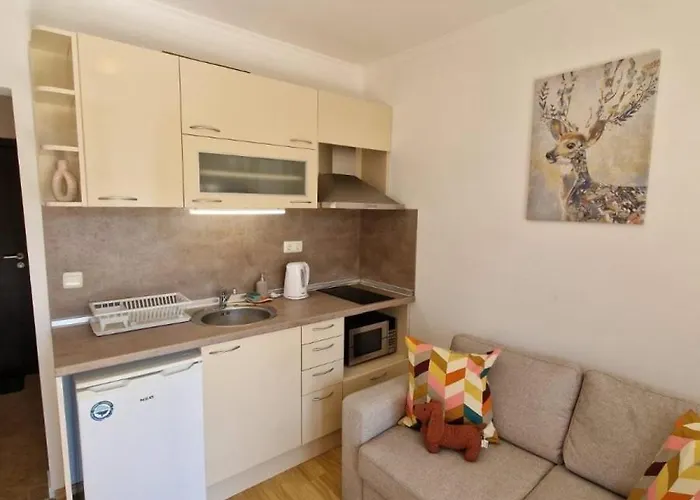 Astoria 2 - Premium Daire Elenite